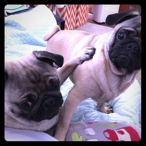 I didn’t do it...flowers, graduations and grandson